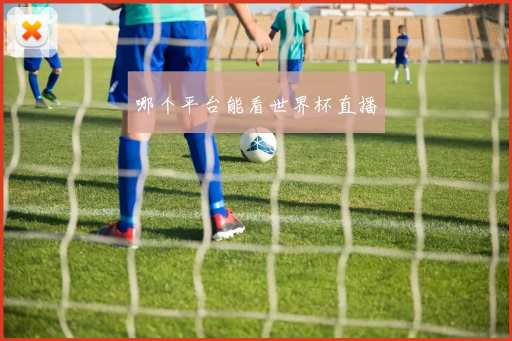 哪个平台能看世界杯直播